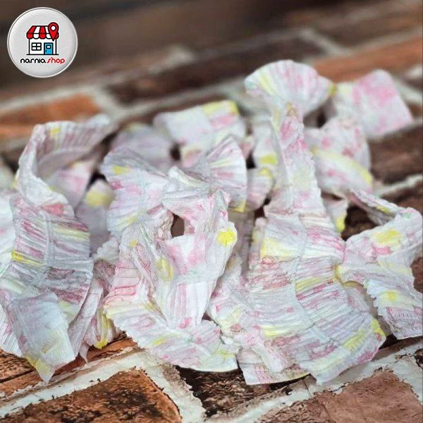 روبالشتی ضد باکتر 10 عددی ( خارجی )