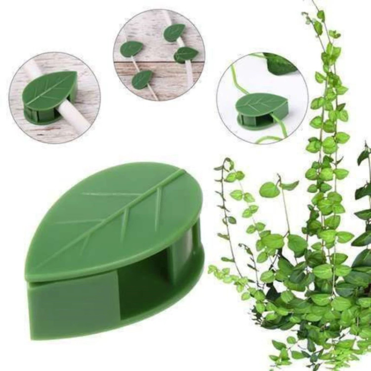 گیره نگهدارنده گل