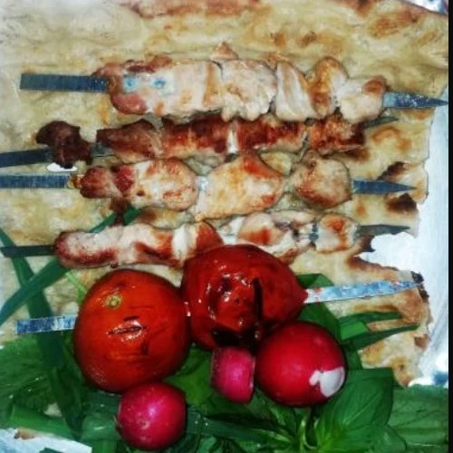کباب پز روگازی مدل چرخان شیک وراحت موجوده