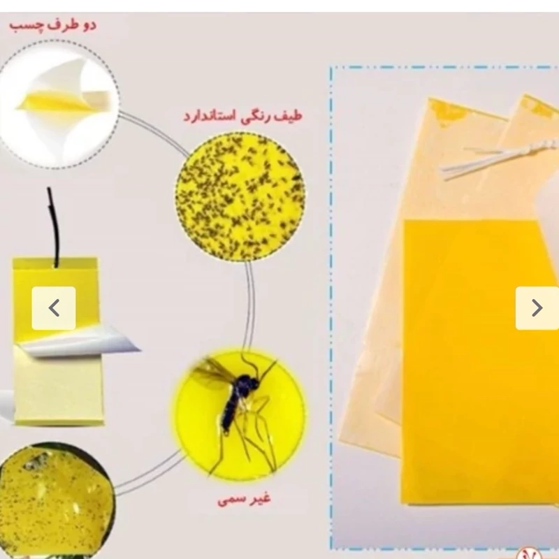 چسب حشره کش معجزه 10 تایی ازحشرات ریز راحت شوید