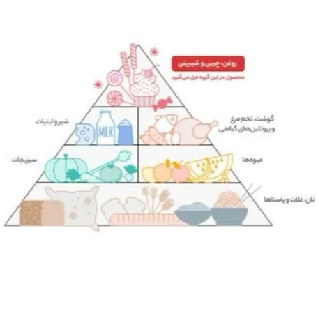 روغن سرخ کردنی اویلا بدون پالم وزن 2 لیتری موجوده