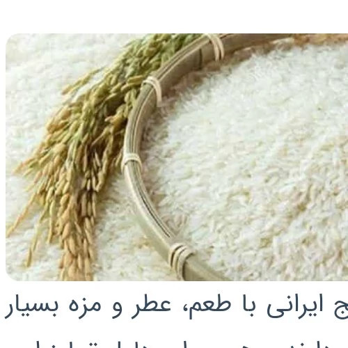 برنج ایرانی طارم استخوانی وزن 10 کیلوگرم