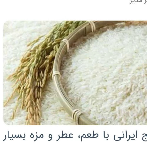 برنج طارم ممتاز گلستان مقدار (10 کیلوگرم ) اصلی