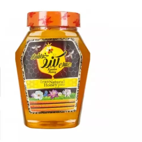عسل فوق العاده خوانسار پت( 1000گرم)ارسال رایگان