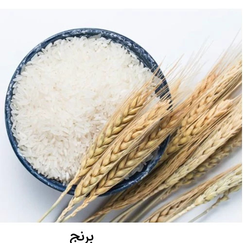 برنج ایرانی دمسیاه گیلان ارگانیک معطر آذوقه وزن 5 کیلوگرم به ضمانت عطر و کیفیت