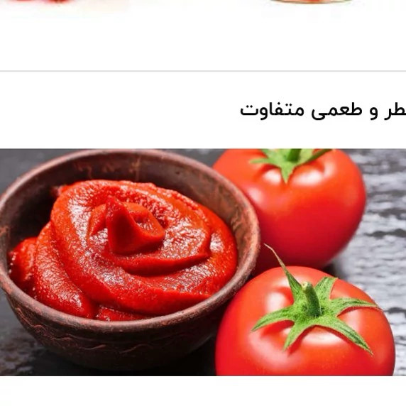رب گوجه فرنگی مکنزی مقدار 800 گرم تاریخ جدید