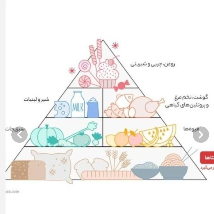 برنج هاشمی طبیعت درجه یک وزن 4500 گرم